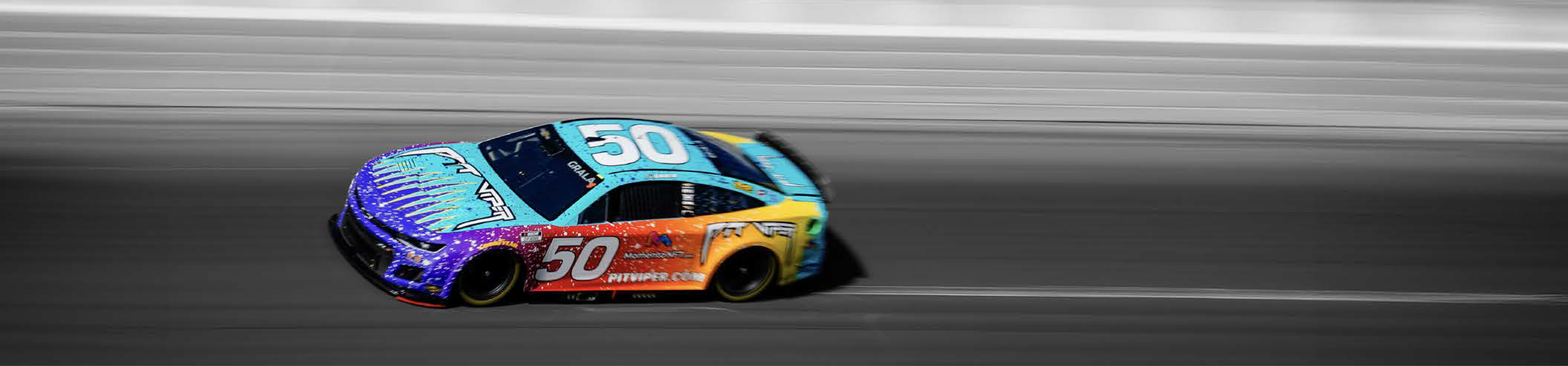 Pit Viper Southern Africa